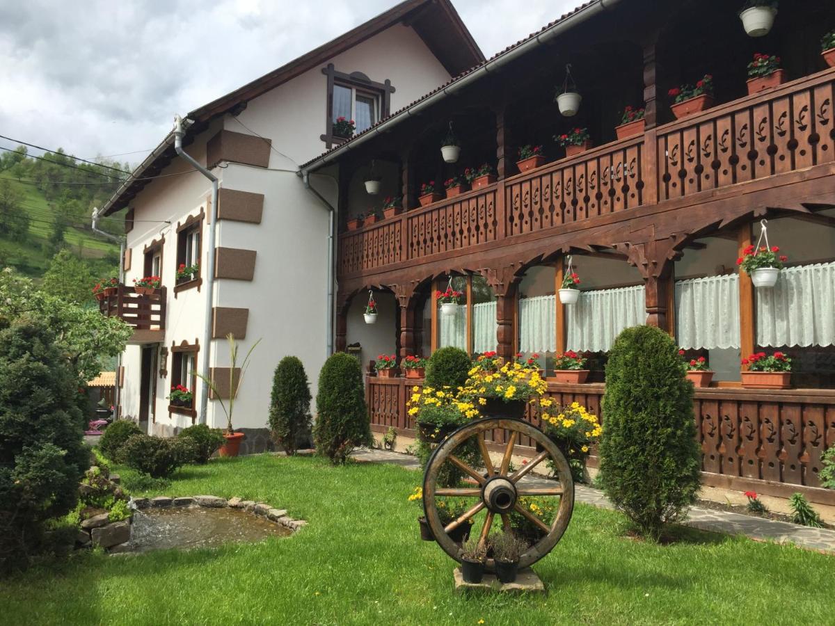 Pensiunea Cretuca Botiza Bagian luar foto