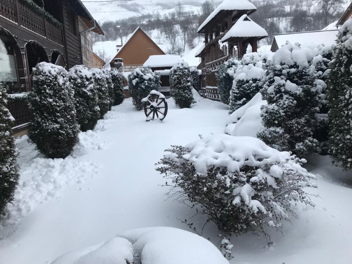 Pensiunea Cretuca Botiza Bagian luar foto