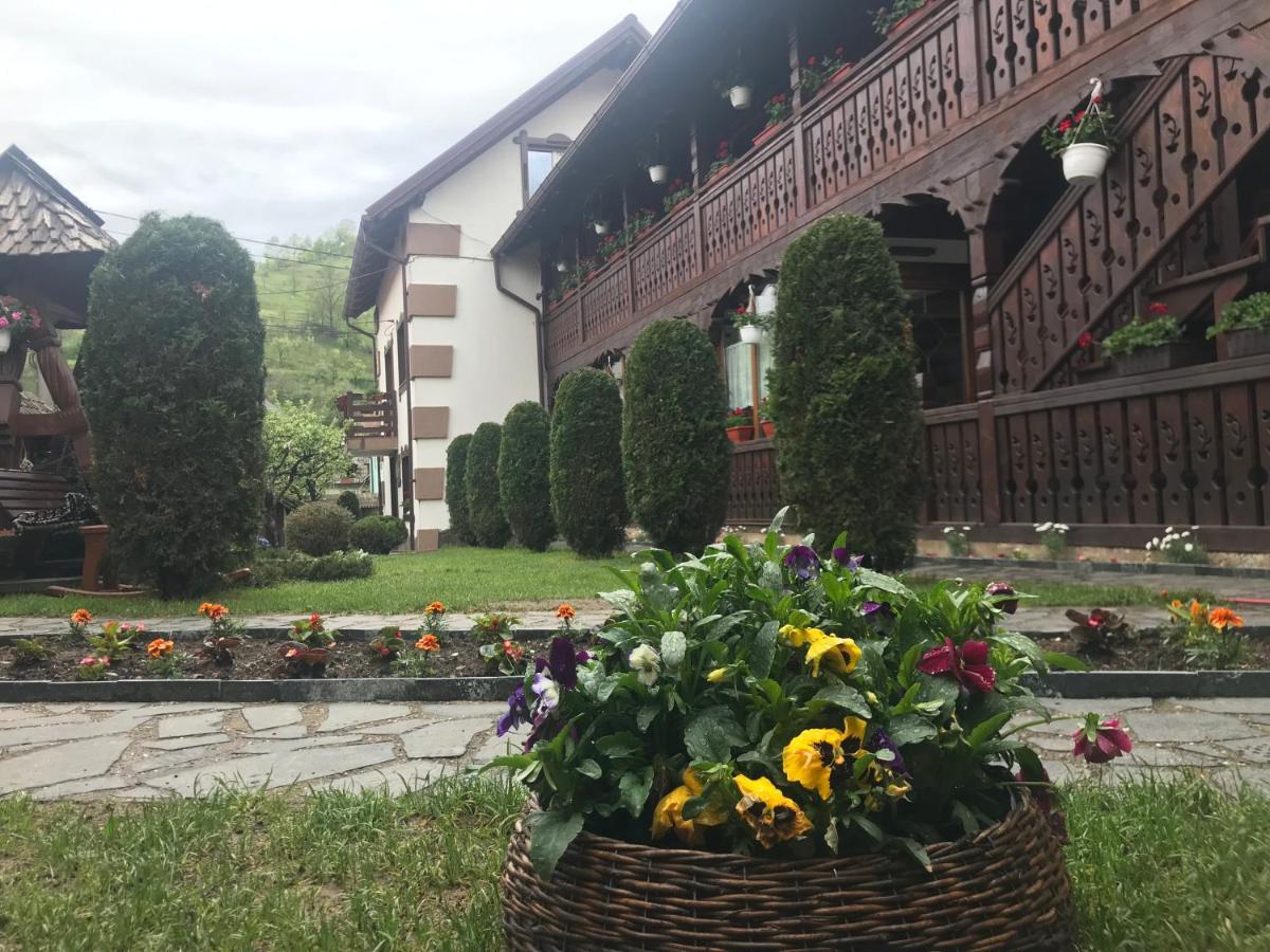 Pensiunea Cretuca Botiza Bagian luar foto