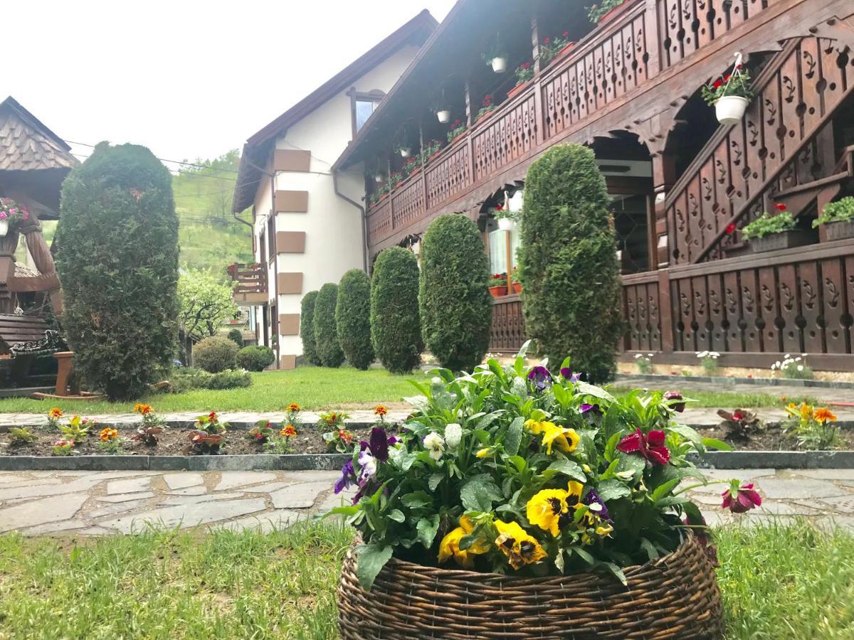 Pensiunea Cretuca Botiza Bagian luar foto